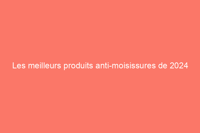 Les meilleurs produits anti-moisissures de 2024 pour les douches et les baignoires