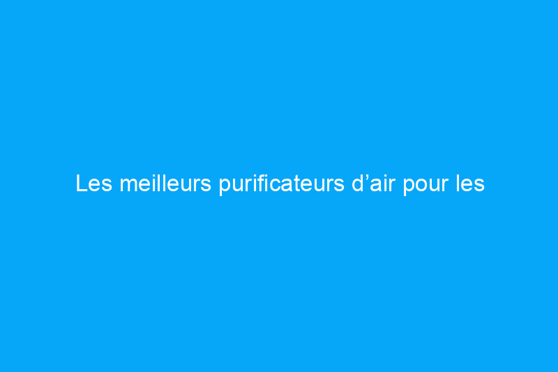 Les meilleurs purificateurs d’air pour les allergies, testés