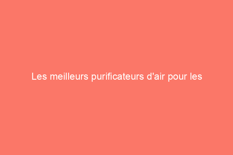 Les meilleurs purificateurs d'air pour les moisissures qui améliorent la qualité de l'air