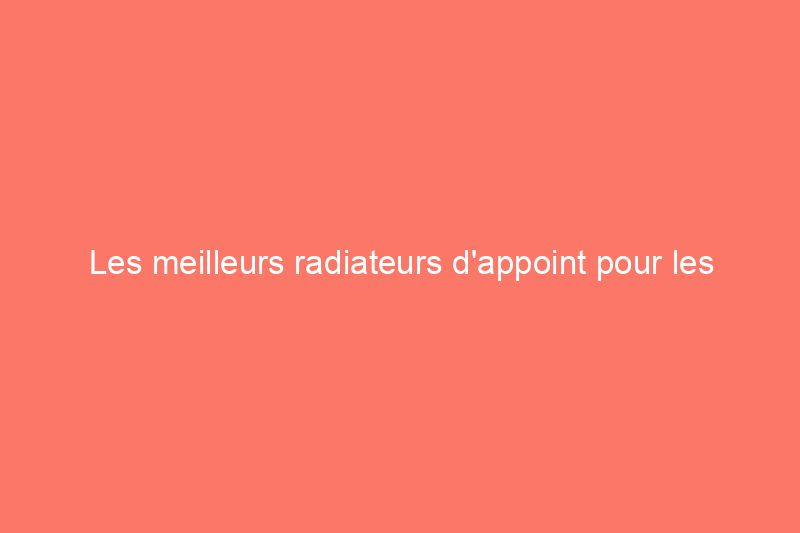 Les meilleurs radiateurs d'appoint pour les grandes pièces pour vous garder au chaud