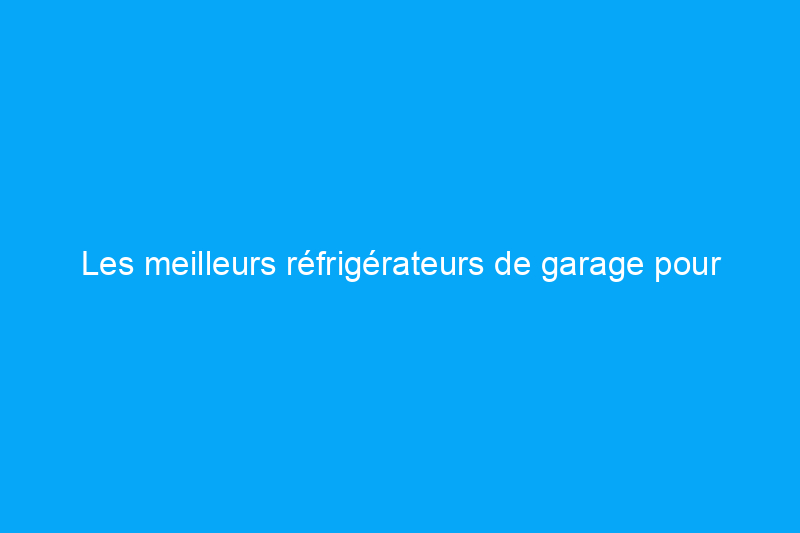 Les meilleurs réfrigérateurs de garage pour conserver les aliments et les boissons supplémentaires au frais