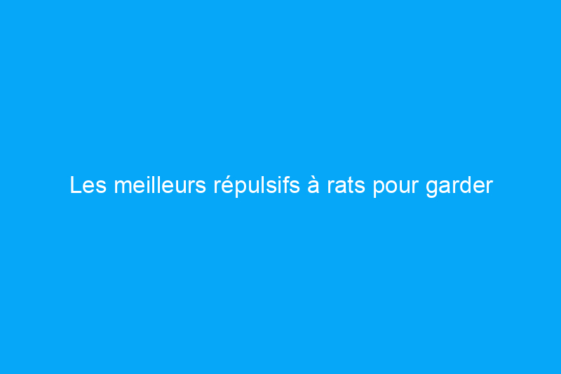 Les meilleurs répulsifs à rats pour garder votre maison sans rongeurs