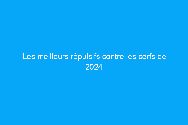 Les meilleurs répulsifs contre les cerfs de 2024 pour votre pelouse et votre jardin 