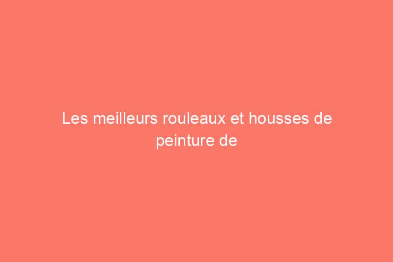 Les meilleurs rouleaux et housses de peinture de 2024, testés et évalués