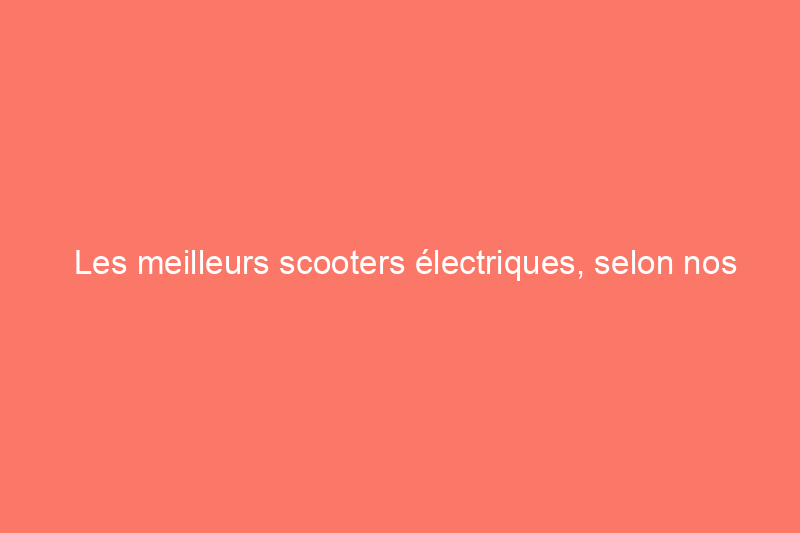 Les meilleurs scooters électriques, selon nos experts en transport personnel