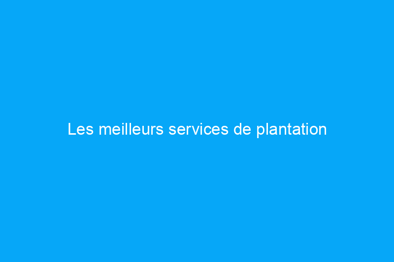 Les meilleurs services de plantation d'arbres commémoratifs en Amérique