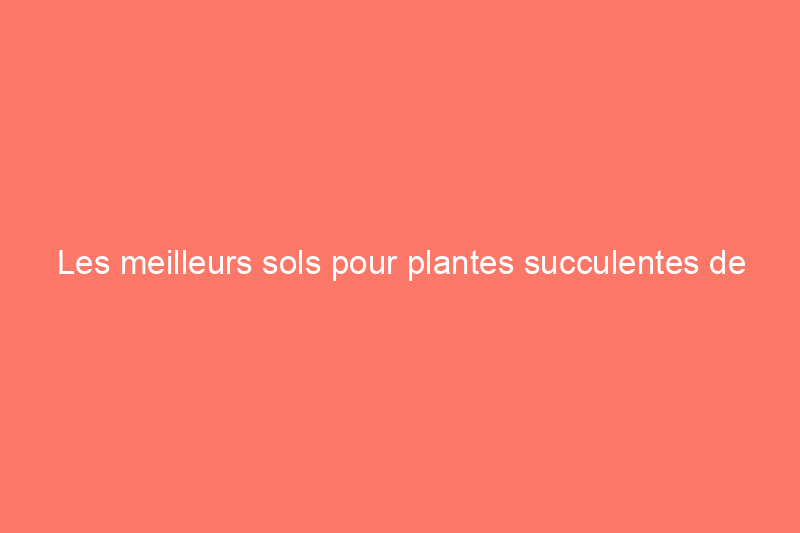 Les meilleurs sols pour plantes succulentes de 2024