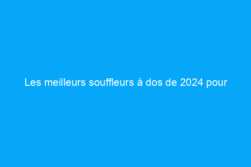 Les meilleurs souffleurs à dos de 2024 pour garder votre jardin impeccable, testés