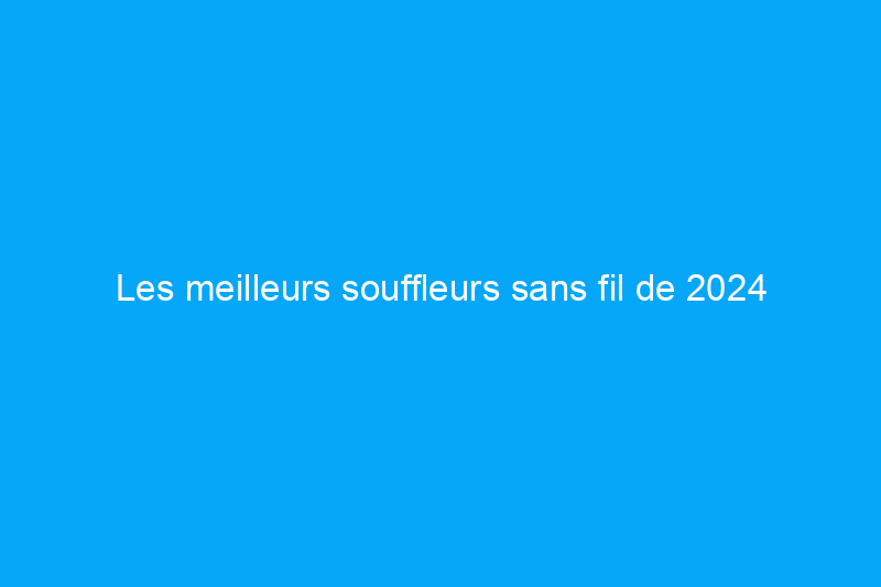 Les meilleurs souffleurs sans fil de 2024