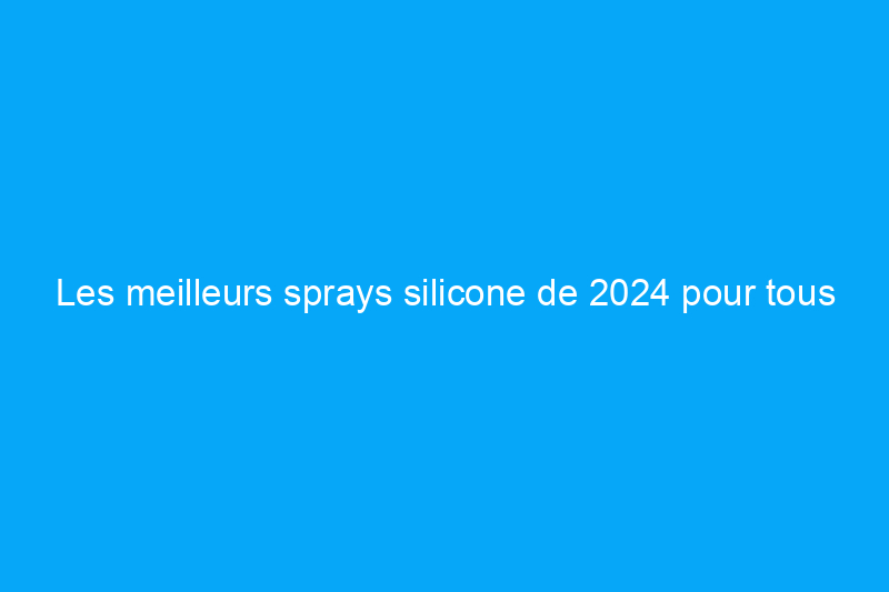 Les meilleurs sprays silicone de 2024 pour tous vos besoins ménagers