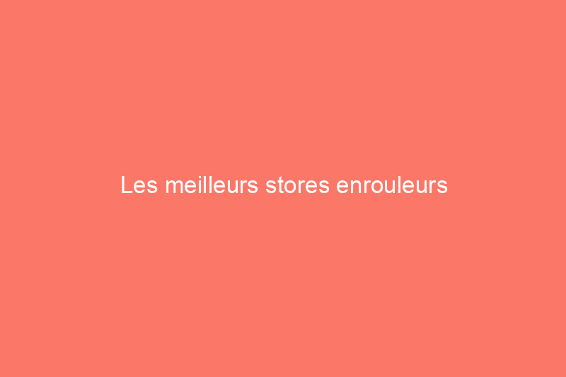 Les meilleurs stores enrouleurs