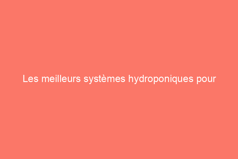 Les meilleurs systèmes hydroponiques pour cultiver des légumes en intérieur toute l'année