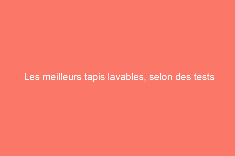 Les meilleurs tapis lavables, selon des tests pratiques rigoureux