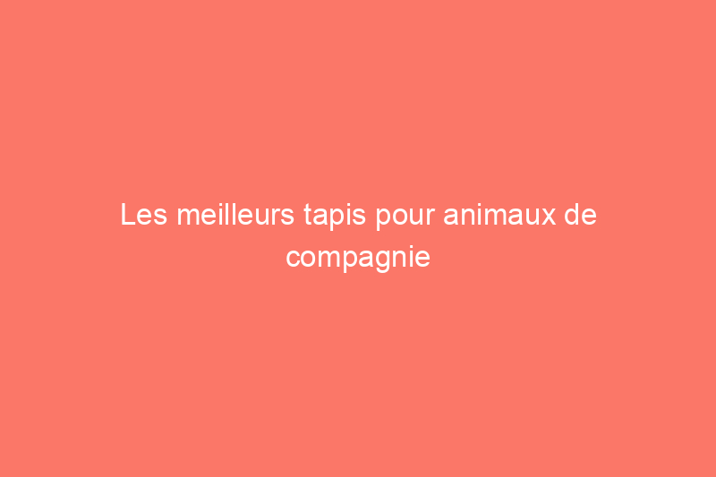 Les meilleurs tapis pour animaux de compagnie