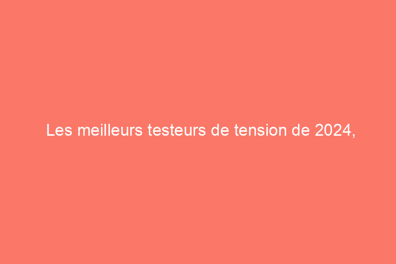 Les meilleurs testeurs de tension de 2024, testés et évalués