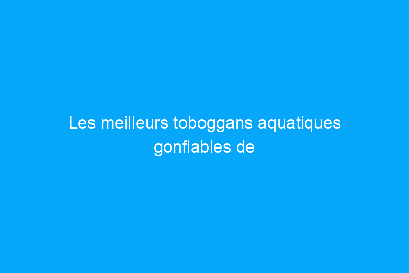 Les meilleurs toboggans aquatiques gonflables de 2024 pour la piscine et le lac 