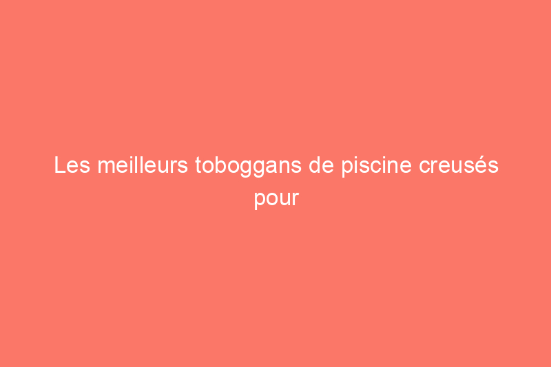 Les meilleurs toboggans de piscine creusés pour s'amuser dans la cour en 2024