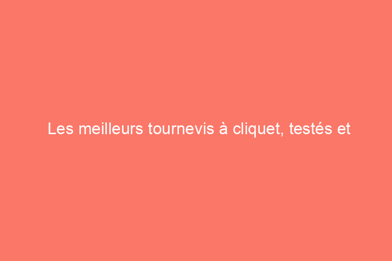 Les meilleurs tournevis à cliquet, testés et évalués