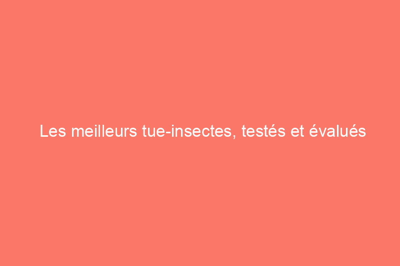 Les meilleurs tue-insectes, testés et évalués