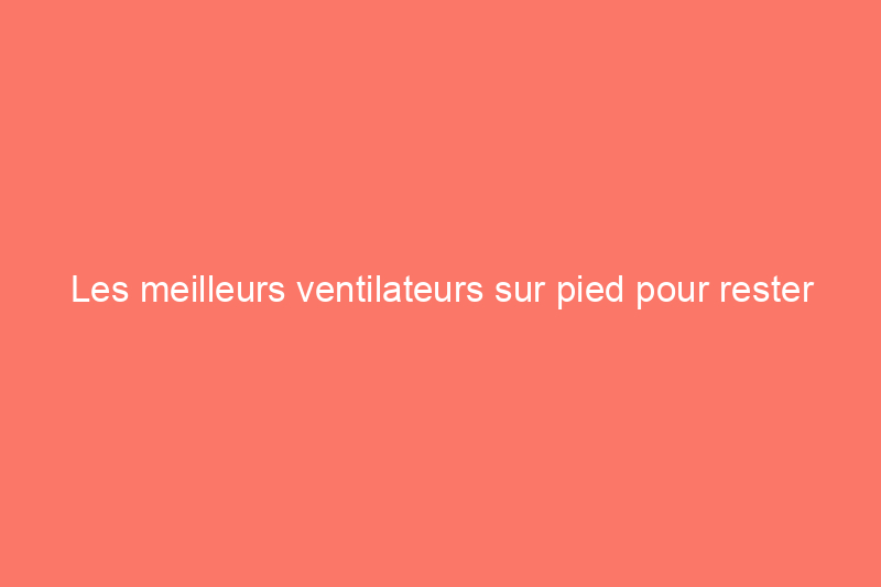 Les meilleurs ventilateurs sur pied pour rester au frais et à l'aise cet été, testés