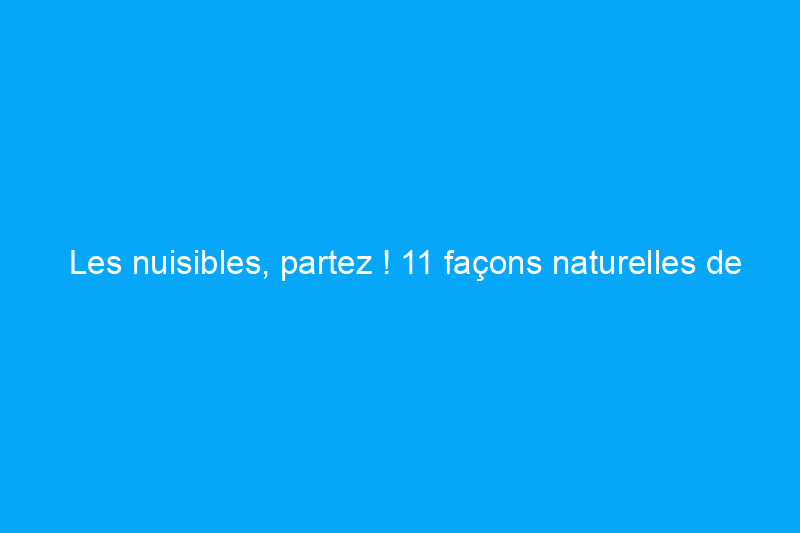 Les nuisibles, partez ! 11 façons naturelles de débarrasser votre maison des bestioles