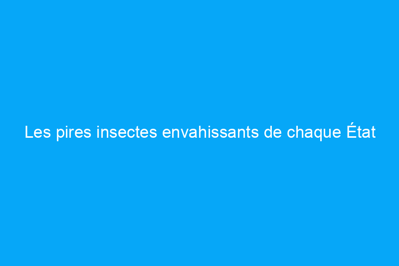 Les pires insectes envahissants de chaque État et comment les combattre