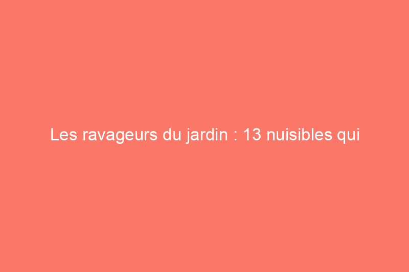 Les ravageurs du jardin : 13 nuisibles qui détruiront vos plantes ce printemps