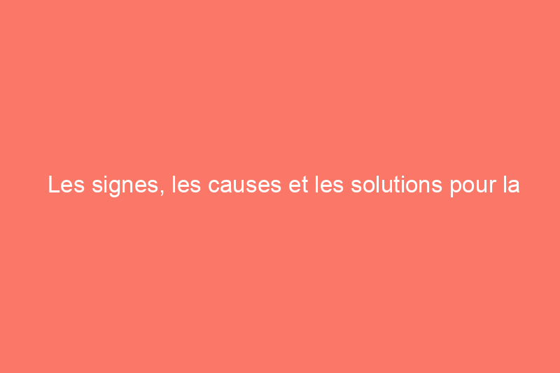 Les signes, les causes et les solutions pour la moisissure sur l'isolation