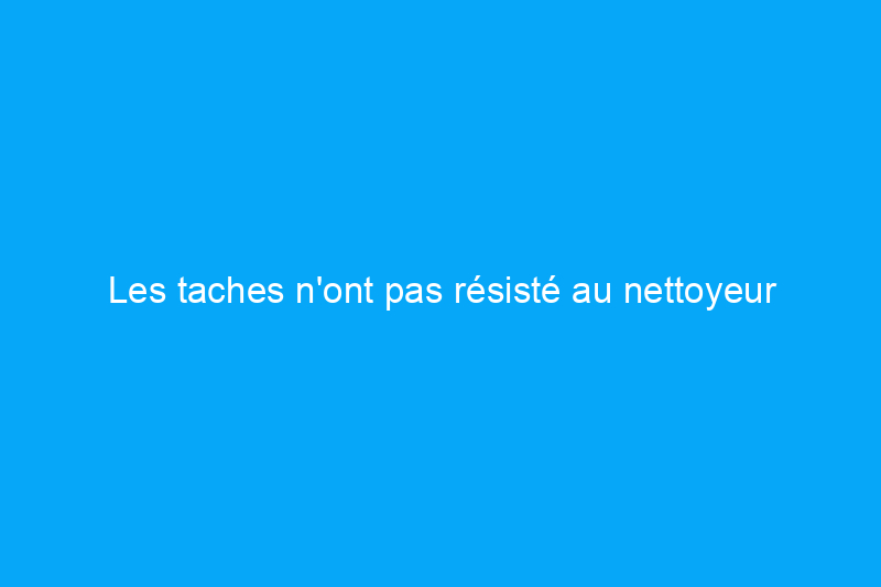 Les taches n'ont pas résisté au nettoyeur de tapis pour animaux de compagnie Bissell ProHeat 2X Lift-Off lors de nos tests