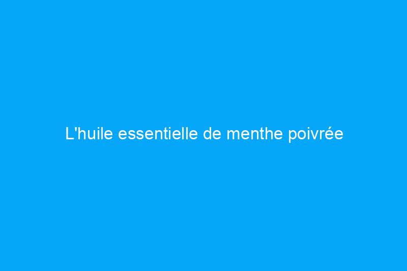 L'huile essentielle de menthe poivrée repousse-t-elle les insectes ? Voici ce que disent les experts