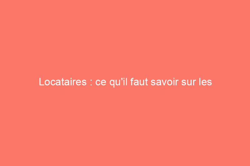 Locataires : ce qu'il faut savoir sur les appartements acceptant les animaux de compagnie