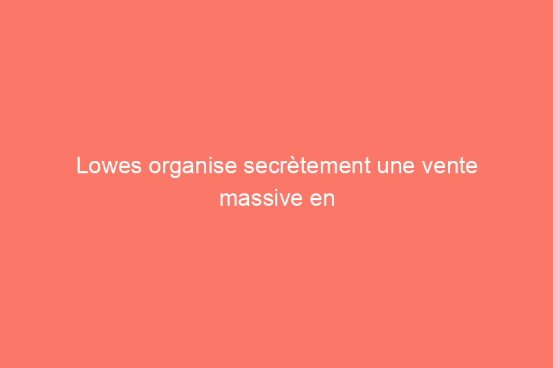 Lowes organise secrètement une vente massive en ce moment – Voici ce qu'il faut acheter