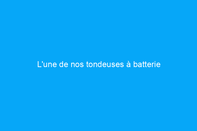 L'une de nos tondeuses à batterie préférées est la $200 en vente chez Ace Hardware en ce moment