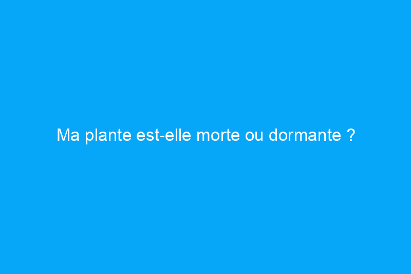 Ma plante est-elle morte ou dormante ?