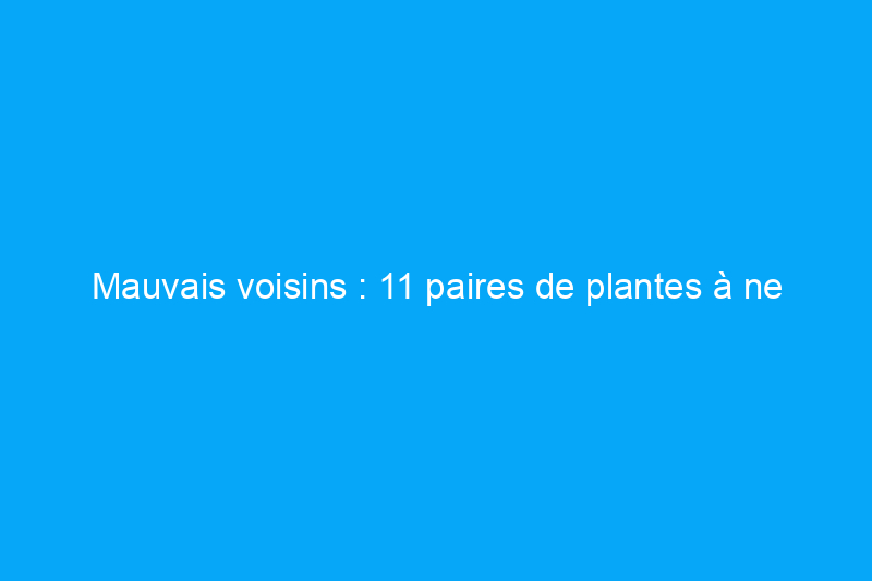 Mauvais voisins : 11 paires de plantes à ne jamais cultiver côte à côte