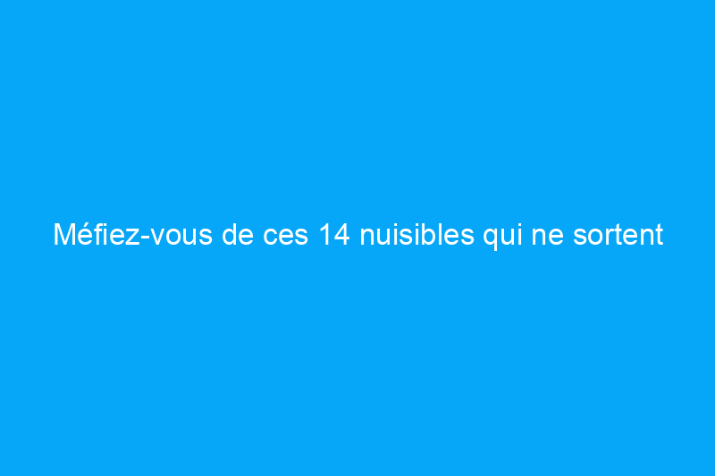 Méfiez-vous de ces 14 nuisibles qui ne sortent que la nuit