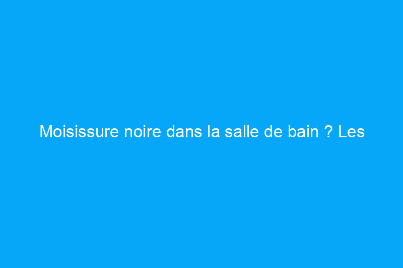 Moisissure noire dans la salle de bain ? Les produits de nettoyage ne suffisent peut-être pas