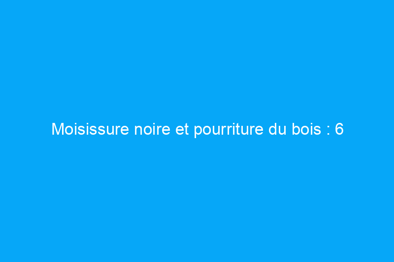 Moisissure noire et pourriture du bois : 6 différences et dangers clés, et comment y remédier