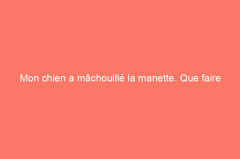 Mon chien a mâchouillé la manette. Que faire maintenant ?