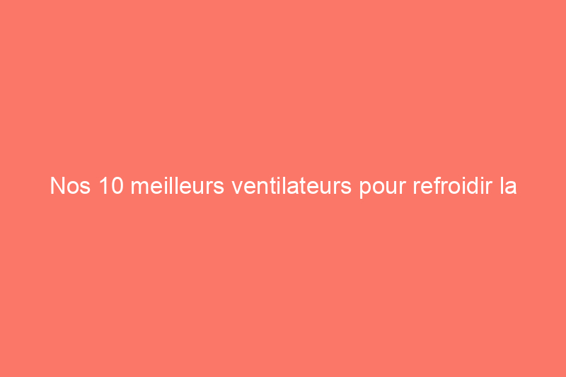 Nos 10 meilleurs ventilateurs pour refroidir la maison, testés et évalués