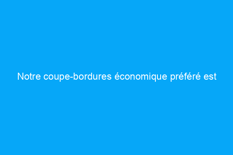 Notre coupe-bordures économique préféré est en vente pour seulement $126