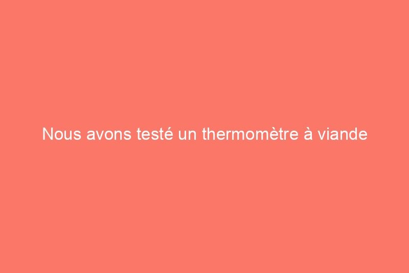 Nous avons testé un thermomètre à viande intelligent sans fil populaire : est-il à la hauteur de son battage médiatique ?