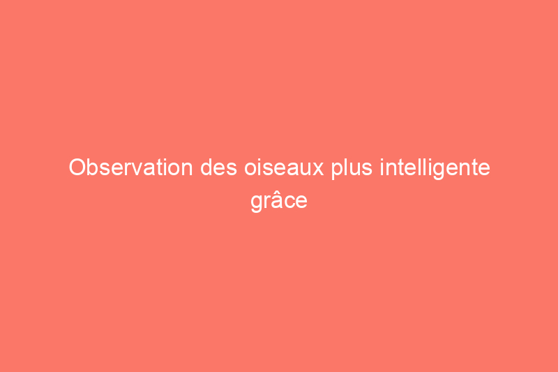 Observation des oiseaux plus intelligente grâce aux notifications en temps réel : une évaluation de Bird Buddy