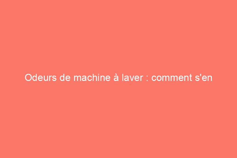 Odeurs de machine à laver : comment s'en débarrasser