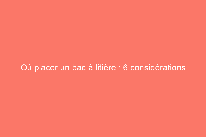 Où placer un bac à litière : 6 considérations essentielles pour tous les propriétaires de chats