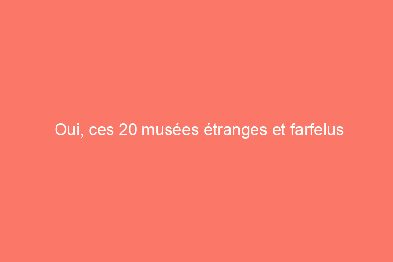 Oui, ces 20 musées étranges et farfelus existent réellement