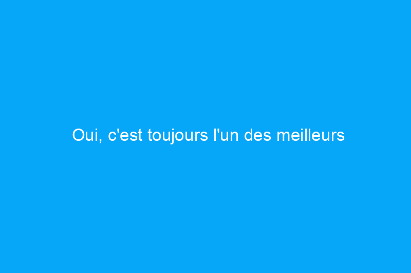 Oui, c'est toujours l'un des meilleurs : un avis sur le barbecue à bouilloire Weber