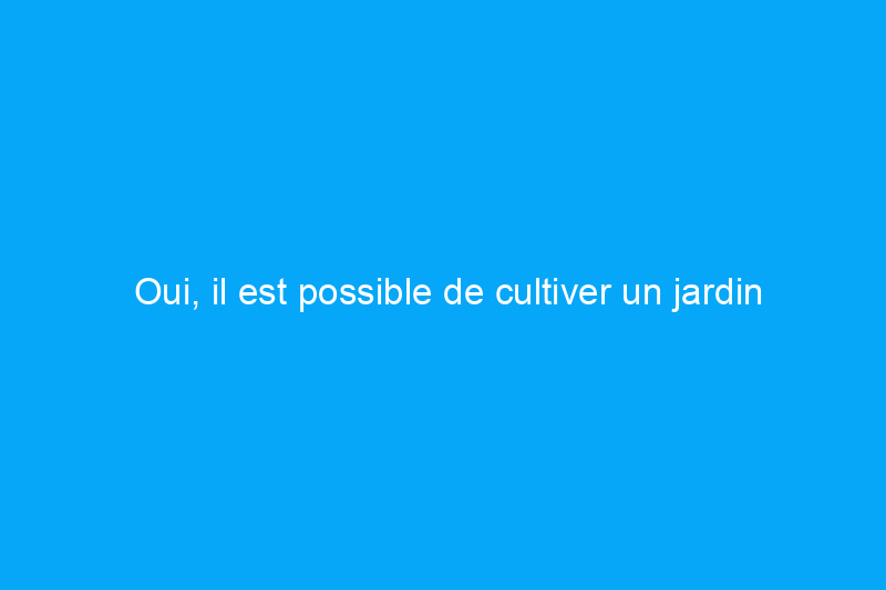 Oui, il est possible de cultiver un jardin florissant avec un sol sablonneux : voici comment