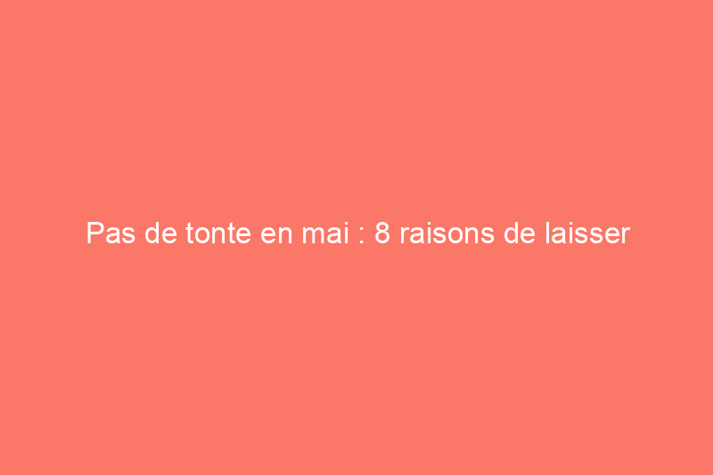 Pas de tonte en mai : 8 raisons de laisser pousser votre pelouse pendant un mois