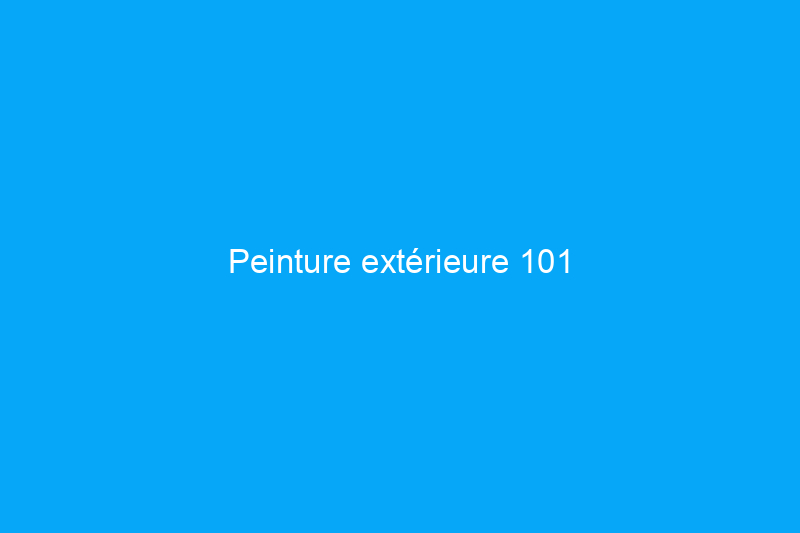 Peinture extérieure 101